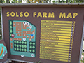 SOLSO FARM Spring 2023