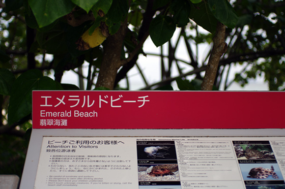 らふたぶ散策 沖縄篇 - エメラルドビーチ 2
