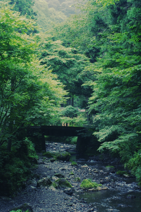 東京唯一の村「檜原村」にあるロッヂ神戸岩にてキャンプ 4